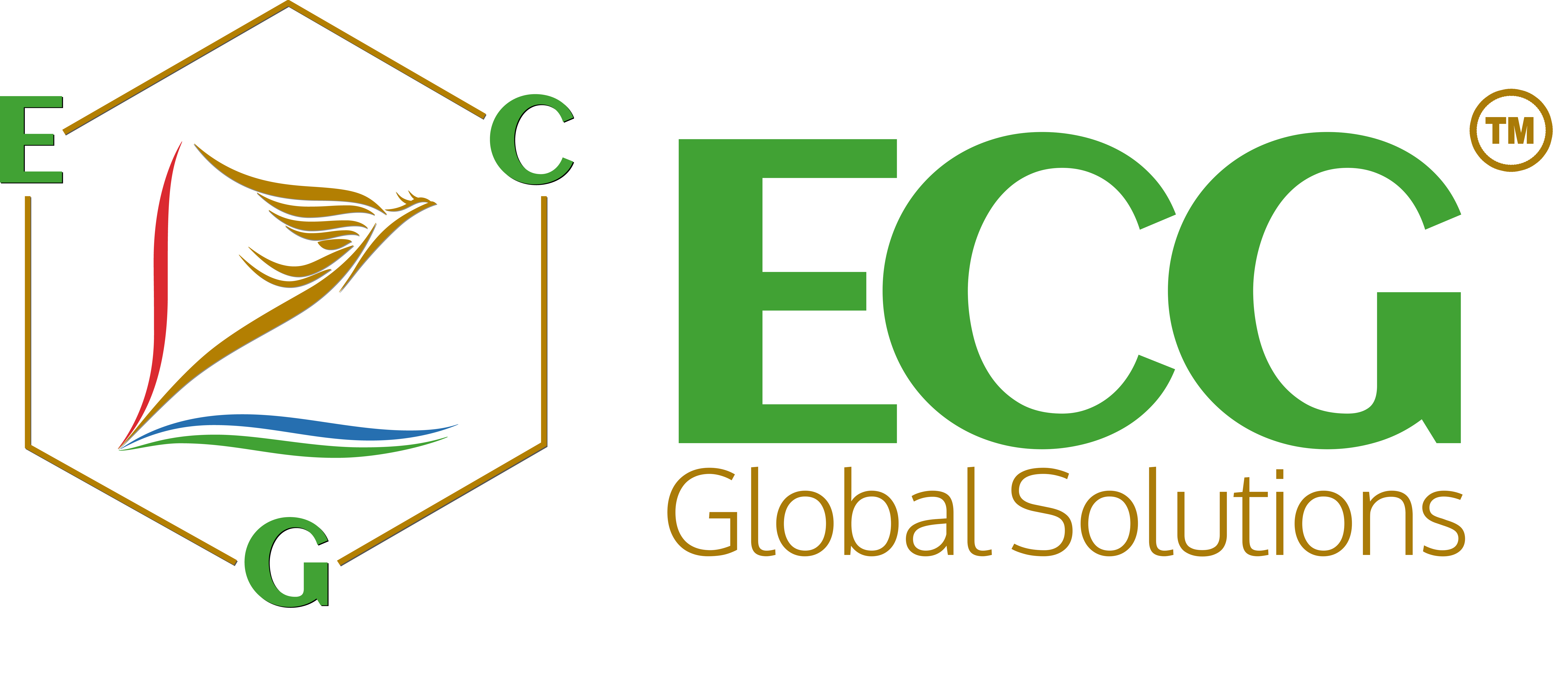 ECG Global Solutions